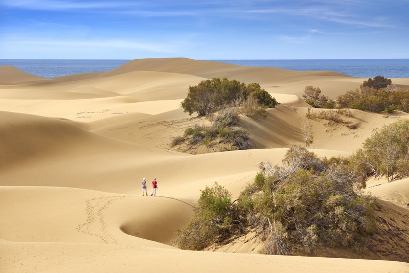 The incredible sand dunes of Maspalomas, Gran Canaria